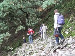 CRW_0463.jpg