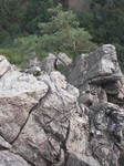 CRW_0493.jpg